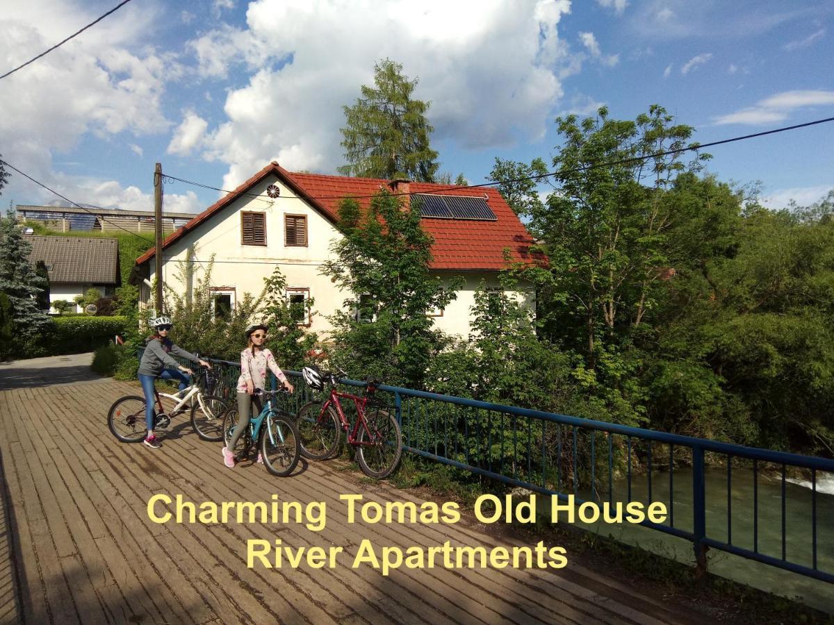 Tomas Old House - River Apartments Visoko  Екстер'єр фото